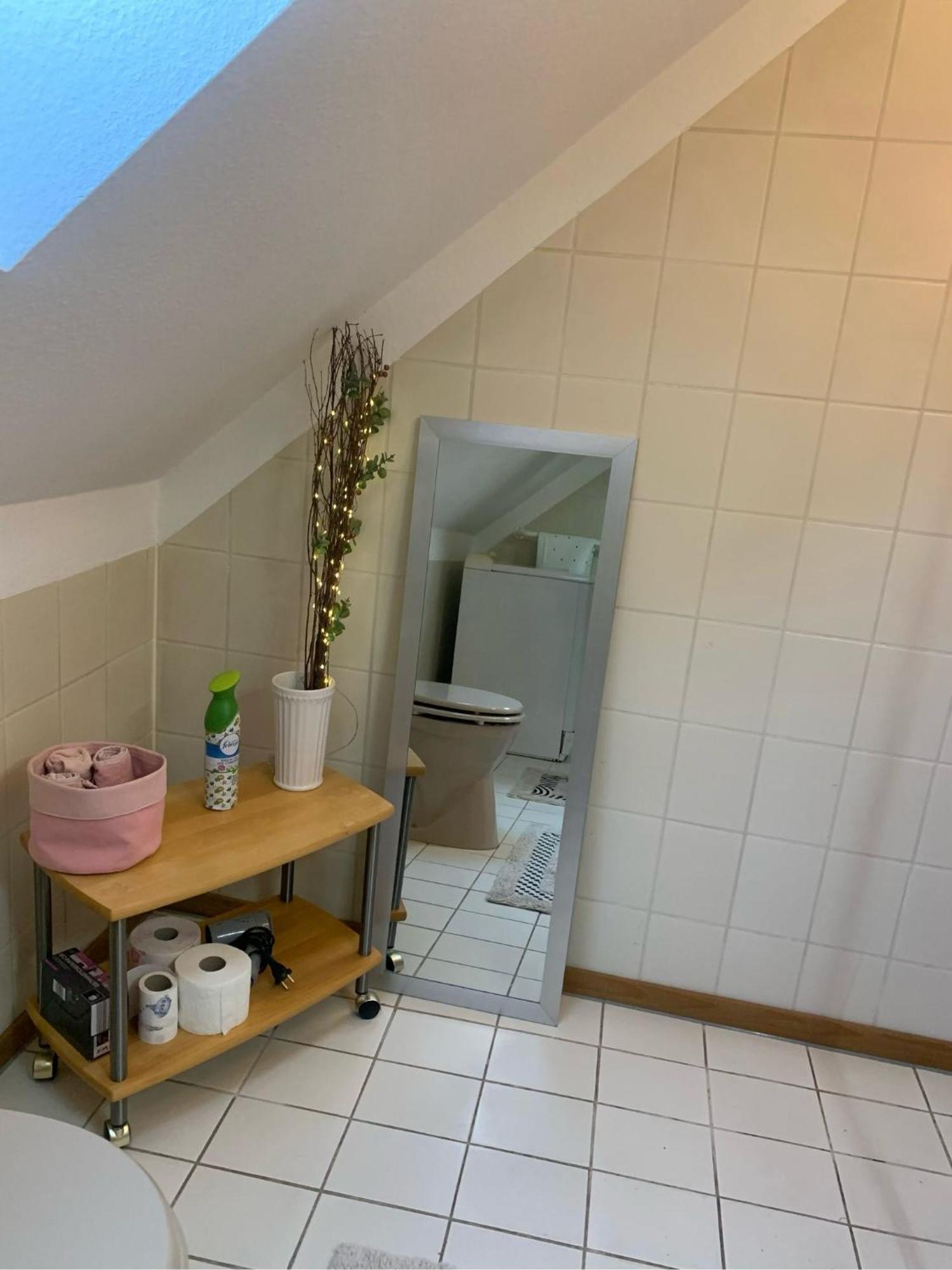希勒斯海姆Idyllisches Muehlengebaeude公寓 外观 照片
